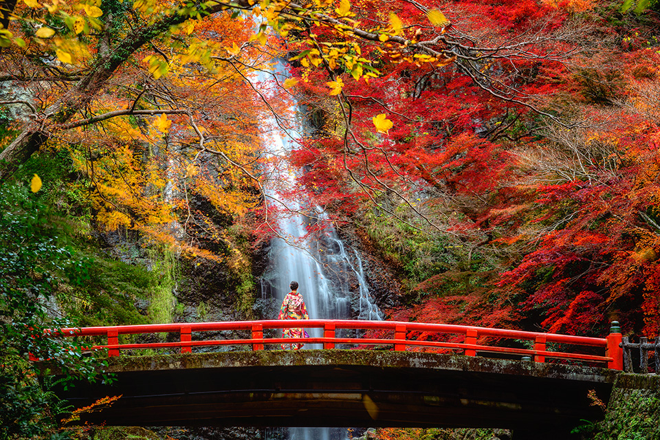 紅葉_橋_滝